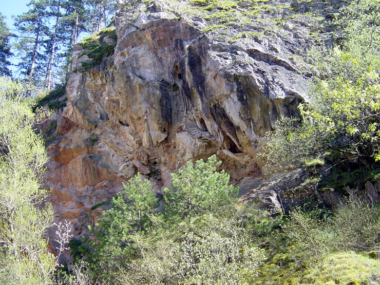 FRONT-DE-TAILLE-CASTELLAS